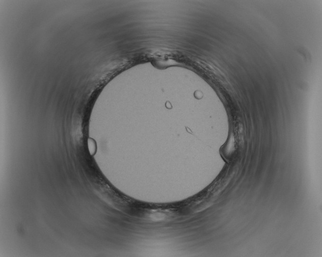 X0000112820508200910021205