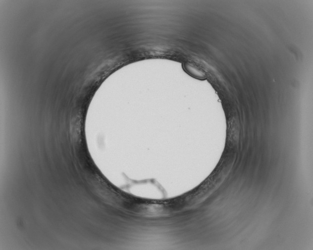 X0000112820509200910021205