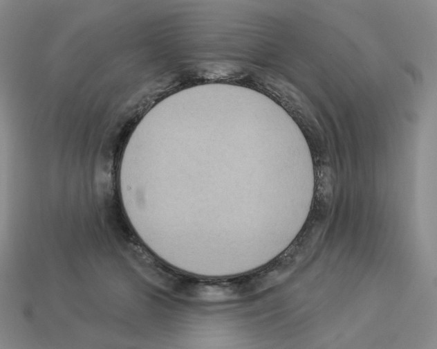 X0000112820510200910021205