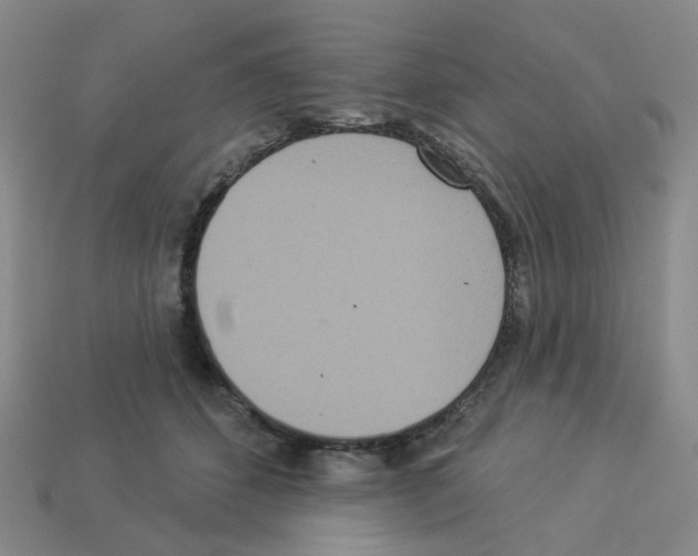 X0000112820512200910021205