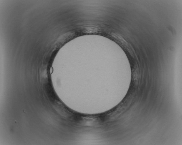 X0000112820516200910021205