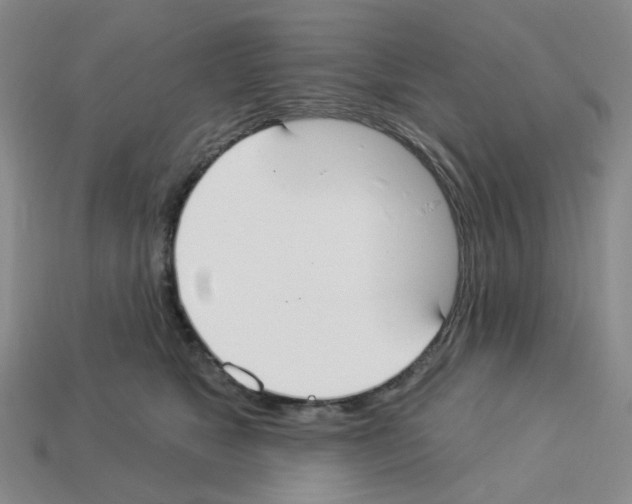 X0000112820517200910021205