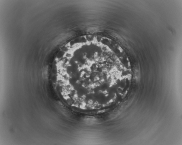 X0000112820519200910021205