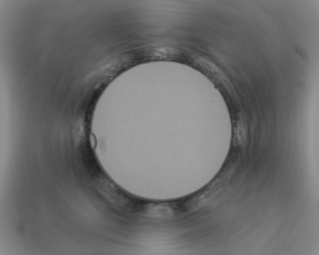 X0000112820520200910021205