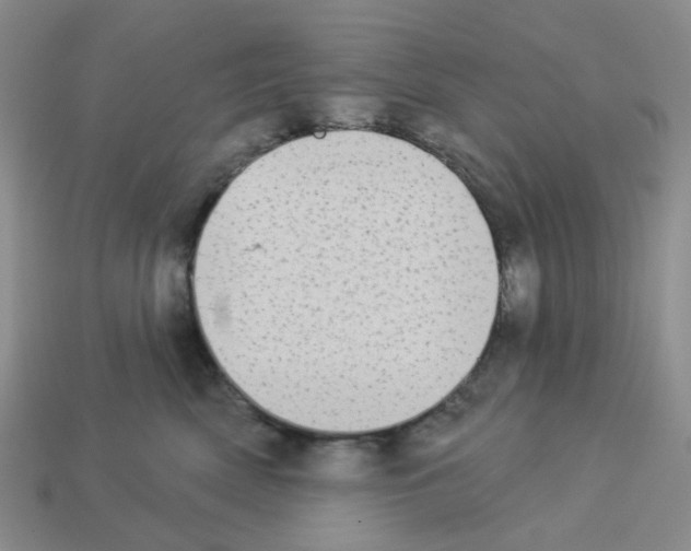 X0000112820522200910021205