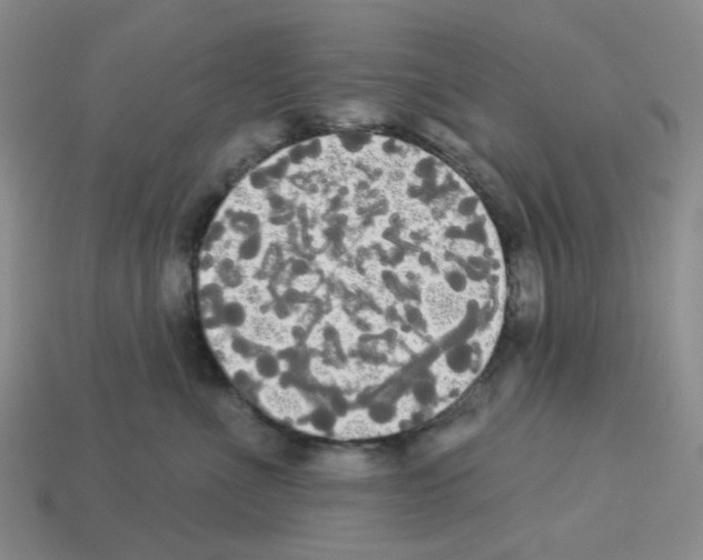 X0000112820523200910021205