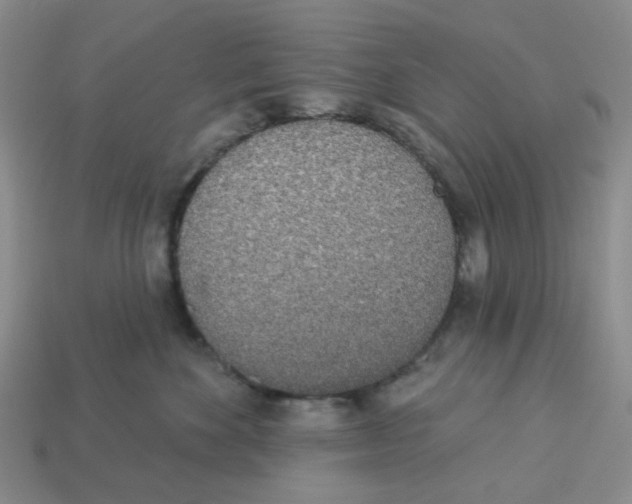 X0000112820524200910021205