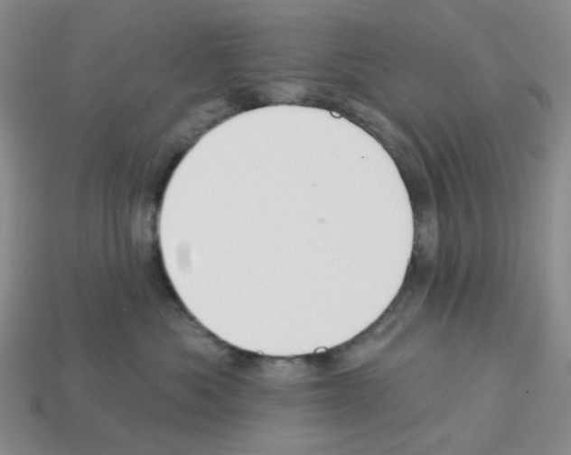 X0000112820525200910021205