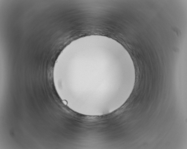 X0000112820528200910021205