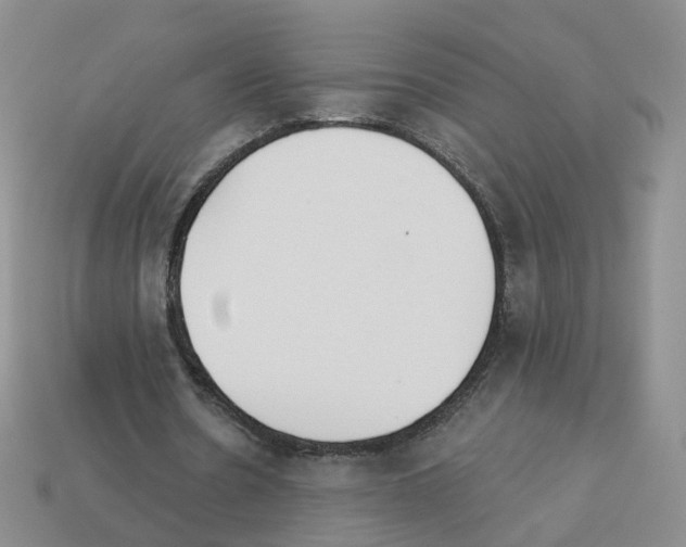 X0000112820530200910021204