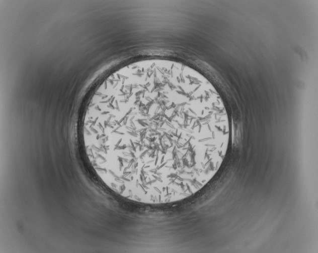 X0000112820531200910021204