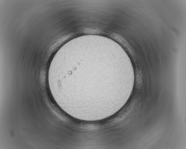 X0000112820533200910021204