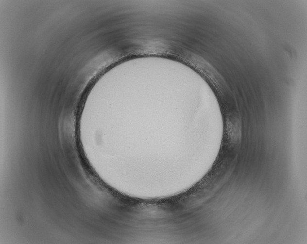 X0000112820534200910021204