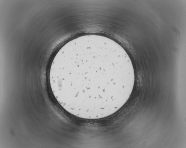 X0000112820535200910021204