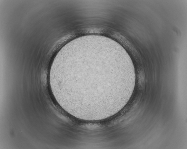 X0000112820537200910021204