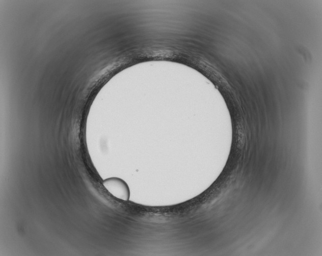 X0000112820538200910021204