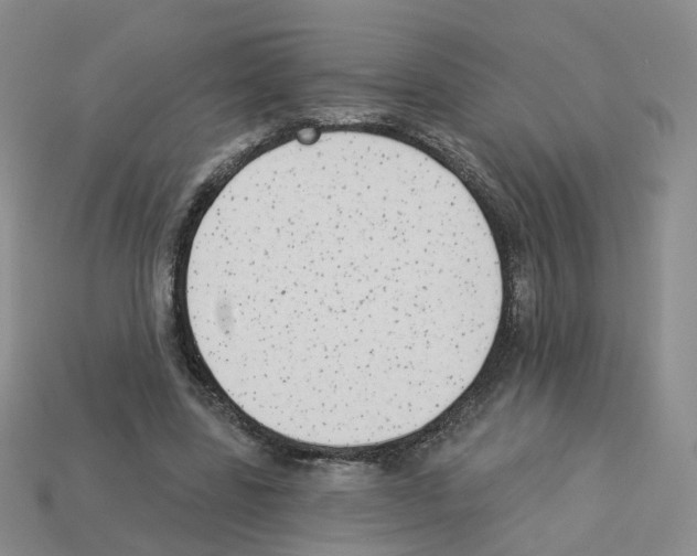 X0000112820539200910021204