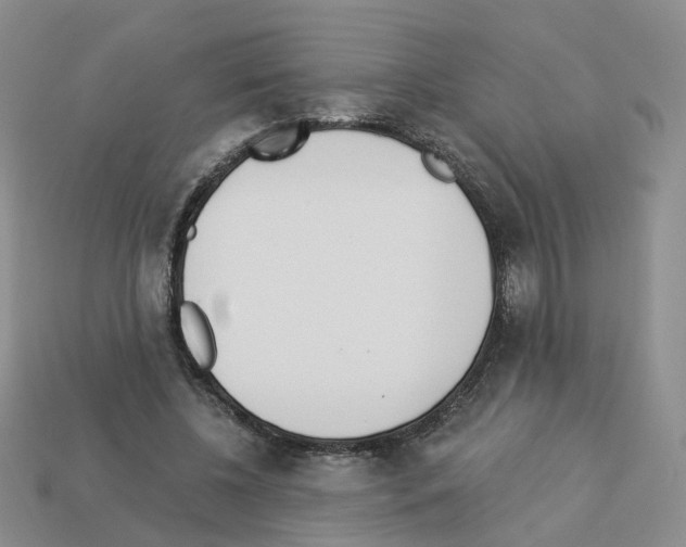 X0000112820540200910021204