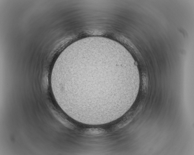 X0000112820541200910021204