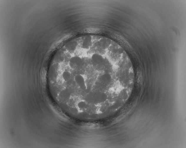 X0000112820542200910021204