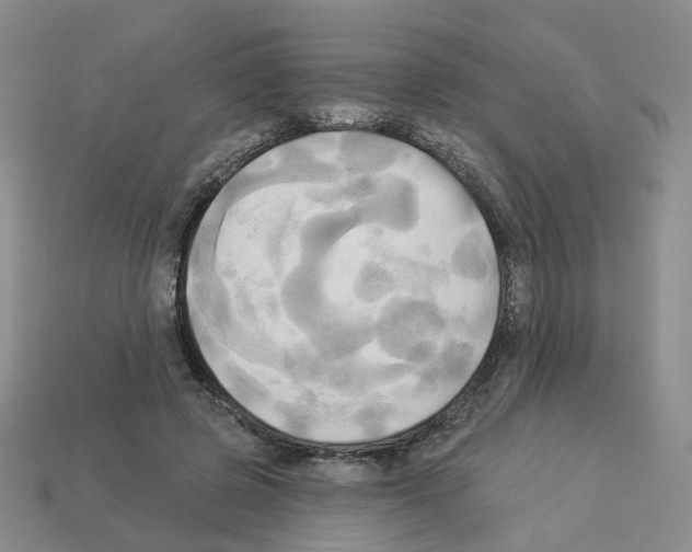 X0000112820545200910021204