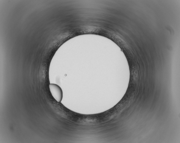 X0000112820546200910021204