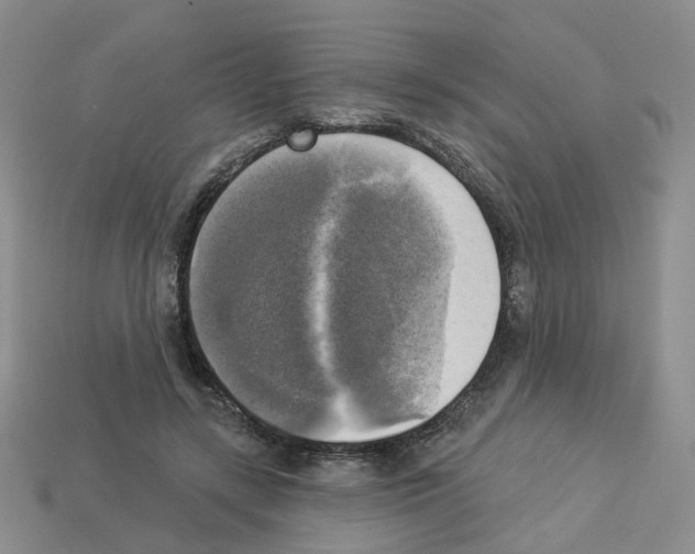 X0000112820547200910021204