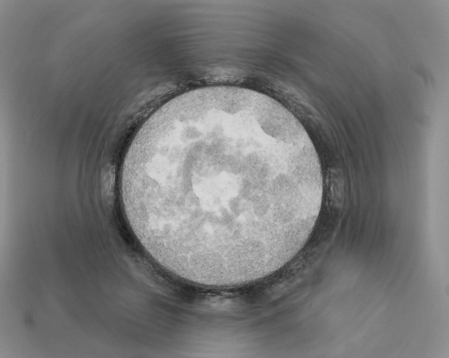 X0000112820550200910021204