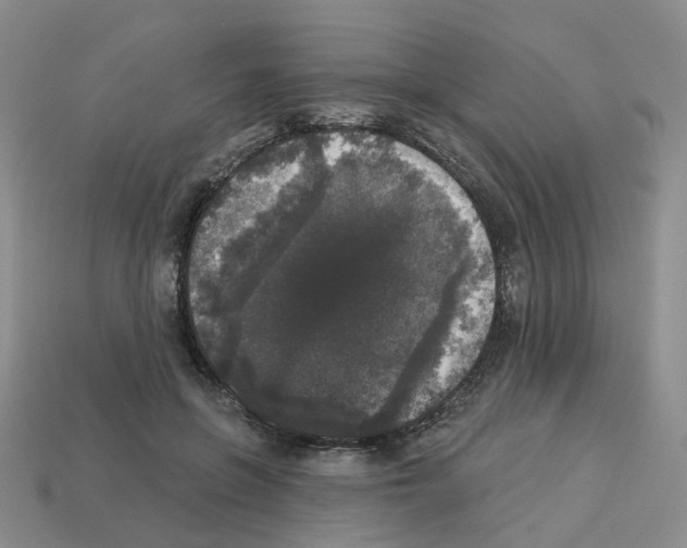 X0000112820551200910021204