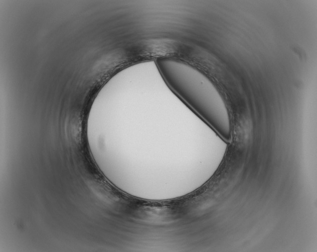 X0000112820552200910021204