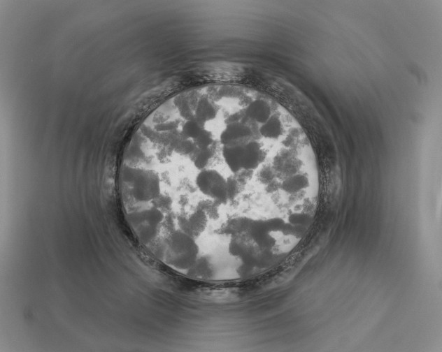 X0000112820553200910021204