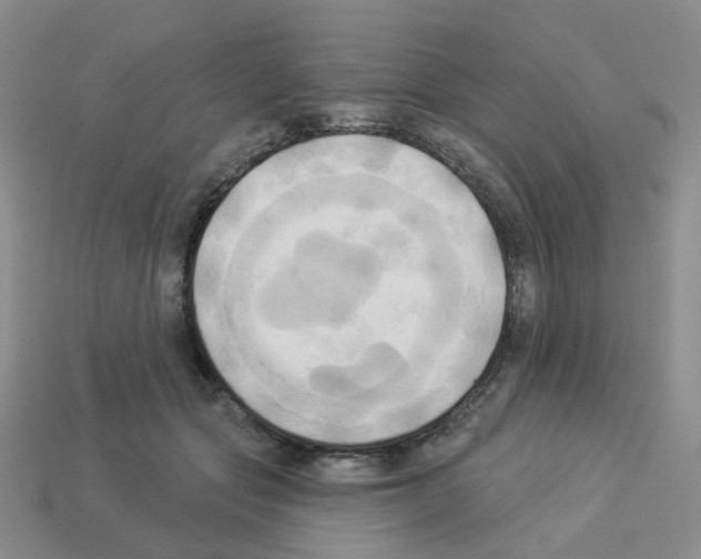 X0000112820557200910021204