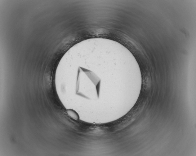 X0000112820558200910021204