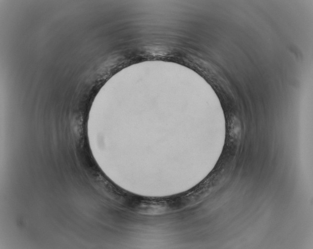 X0000112820559200910021204