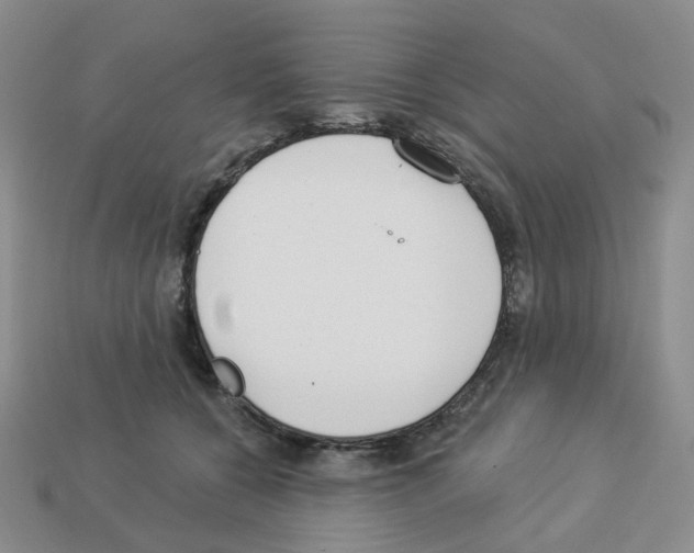 X0000112820560200910021204