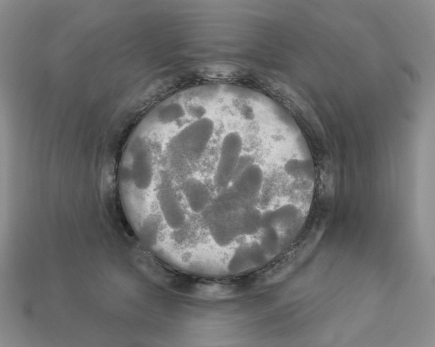 X0000112820561200910021204