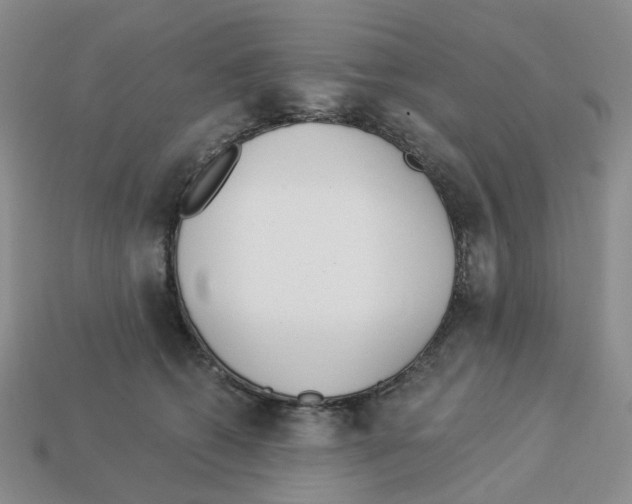 X0000112820562200910021204