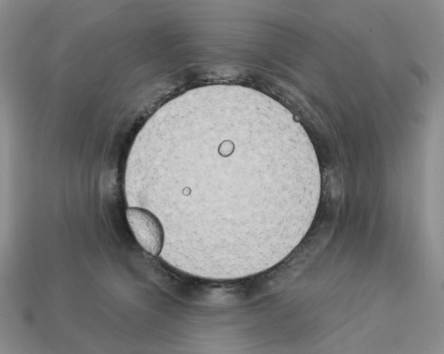 X0000112820564200910021204