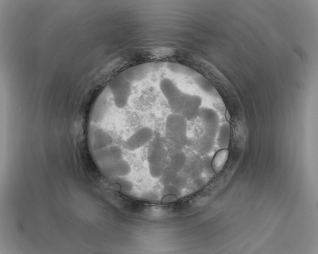 X0000112820565200910021204