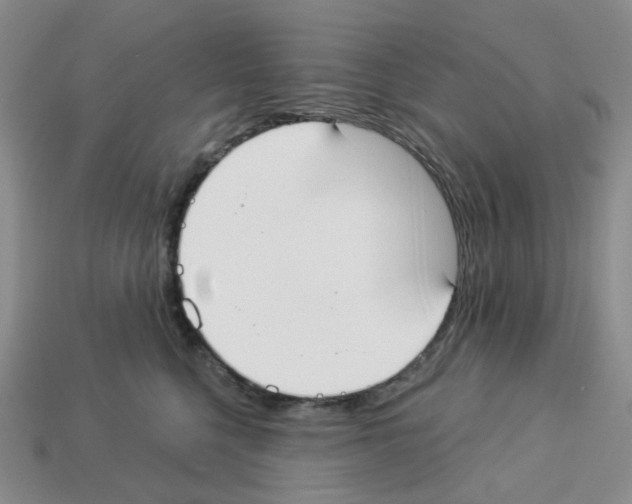 X0000112820568200910021205