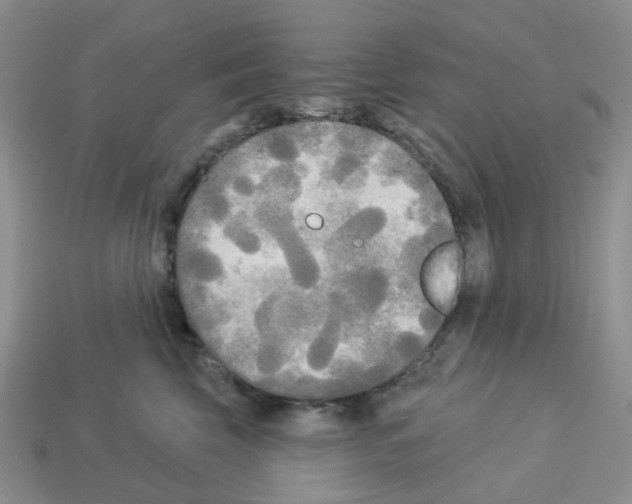 X0000112820569200910021205