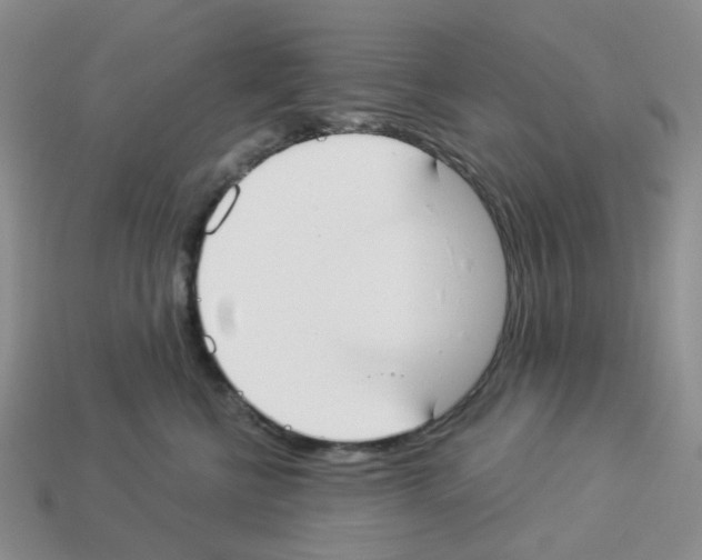 X0000112820570200910021205