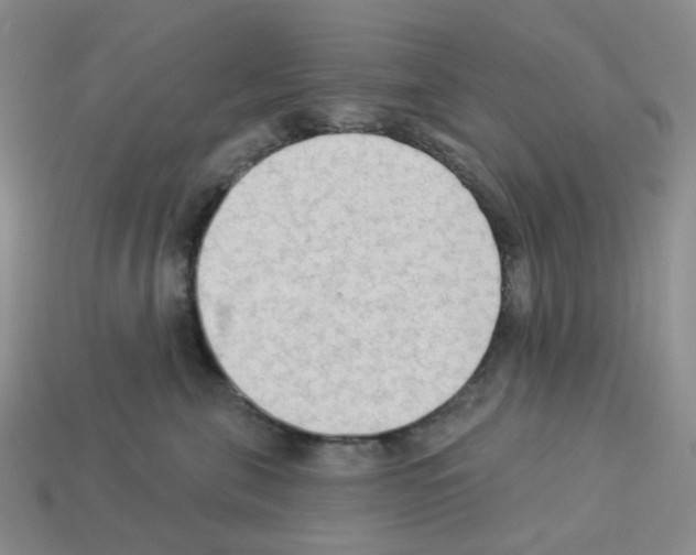 X0000112820571200910021205