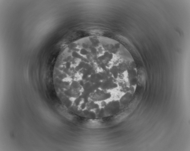 X0000112820573200910021205