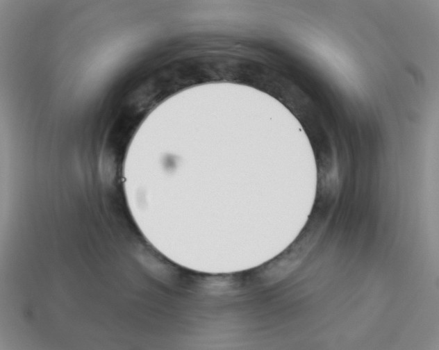 X0000112820574200910021205