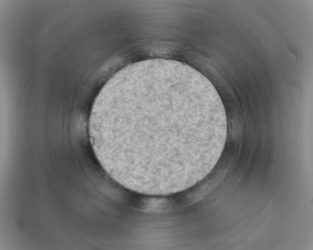 X0000112820575200910021205