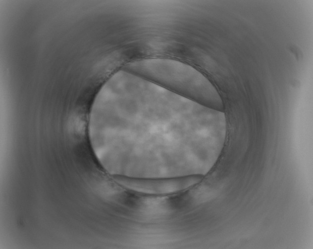 X0000112820576200910021205