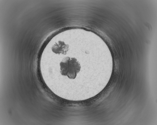 X0000112820580200910021204