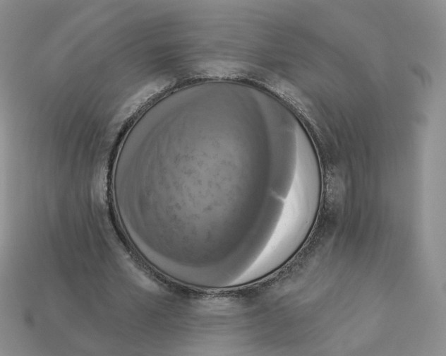 X0000112820581200910021204