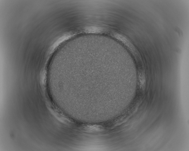 X0000112820583200910021204